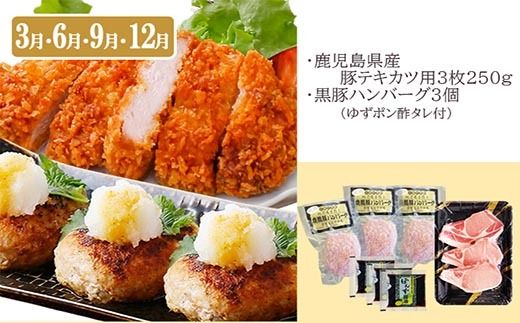 定期便3回配送　お楽しみバラエティー　OO-0004 【1528204】