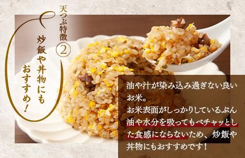 【令和8年産】【全3回定期便】米　 国見町産　天のつぶ 10kg（5kg×2袋）　 3回定期便 ※2026年10月～発送