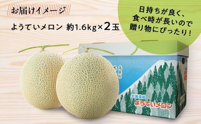 北海道 赤肉メロン 約1.6kg 2玉 メロン 赤肉 果物 フルーツ 甘い 完熟 スイーツ デザート 産直 国産 贈答品 お祝い ギフト羊蹄山 JAようてい