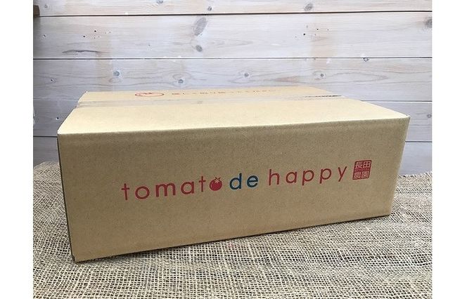 予約受付 個数限定 新食感 トマト さくらんぼトマト ミニトマト ぷちぷよ 約1kg 定期便 6回 野菜ソムリエサミット 金賞 受賞 産地直送 野菜 フルーツ サラダ 濃厚 ツヤツヤ ぷにぷに やわらかい 希少 塩農法 リコピン 長田農園 愛知県 碧南市 送料無料 H004-136