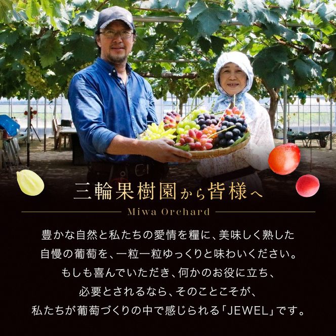ぶどう 2026年 先行予約 ジュエルボックス 皮ごと食べることのできる 葡萄 4～5品種 詰合せ 約2kg ブドウ 葡萄 岡山県 赤磐市産 国産 フルーツ 果物 ギフト 三輪果樹園 岡山のぶどう 食べ比べ 