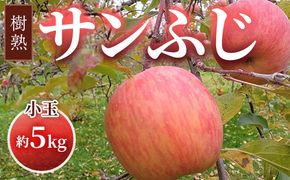 【早期予約】りんご 加積りんご 樹熟サンふじ小玉 約5kg｜ふじ 魚津市産 富山 リンゴ 林檎 くだもの 果物 フルーツ デザート 産地直送 富山県 ※北海道・沖縄・離島への配送不可 ※2024年12月上旬～2025年2月上旬頃に順次発送予定