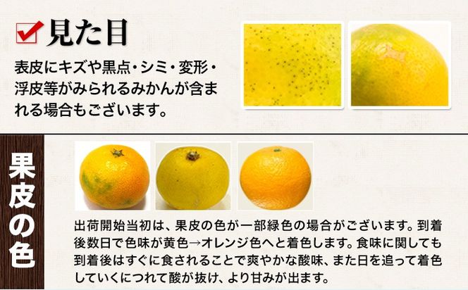 最短7日発送！ 訳あり みかん 小玉みかん くまもと小玉みかん 4kg  8kg 秋 旬 不揃い 傷 ご家庭用 SDGs 小玉 たっぷり 熊本県 産 S-3Sサイズ フルーツ 旬 柑橘 熊本県産 温州みかん《7-14日以内に出荷予定(土日祝除く)》 早く届く---gkt_mkn_24_wx_6000_4kg---