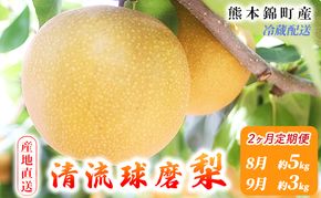 定期便 2回 先行予約 梨 清流錦 豊水 あきづき 新高 かおり 8月 5kg 9月 3kg フルーツ なし ナシ 果物 デザート お楽しみ 2026年発送 配送不可:離島 