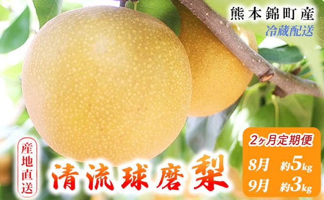定期便 2回 先行予約 梨 清流錦 豊水 あきづき 新高 かおり 8月 5kg 9月 3kg フルーツ なし ナシ 果物 デザート お楽しみ 2026年発送 配送不可:離島 