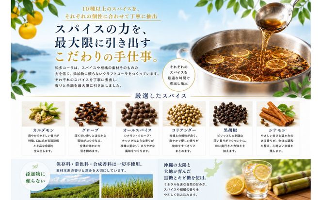 【テレビで紹介】知多コーラ 200ml 6本 愛知 知多 クラフトコーラ コーラ 炭酸飲料 ドリンク 愛知県産 レモン みかん 人気 おすすめ 大府市 232238_DJ008
