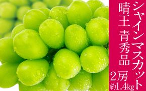 2026年予約受付中 シャインマスカット 晴王 7月～8月出荷 2房 約1.4kg  人気 岡山県産 種無し 皮ごと食べる みずみずしい  フレッシュ 晴れの国 おかやま 果物大国 ハレノフルーツ