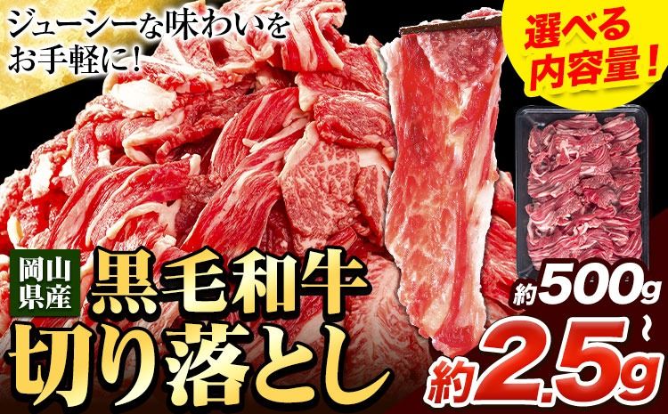 牛肉 肉 黒毛和牛 切り落とし 訳あり 大容量 小分け 500g〜2.5kg 1パック 250g 定期便 有[30日以内に出荷予定(土日祝除く)]岡山県産 岡山県 笠岡市 お肉 にく カレー 牛丼 牛肉 切り落し 小分け 切落し 牛肉 小分け 牛肉----kasaoka_zsy_111_500g---