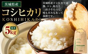 【先行予約】【令和8年産】茨城県産コシヒカリ 5kg ※2026年10月～発送 | 米 お米 おこめ コメ 白米 精米 ご飯 ごはん コシヒカリ こしひかり 茨城県 守谷市