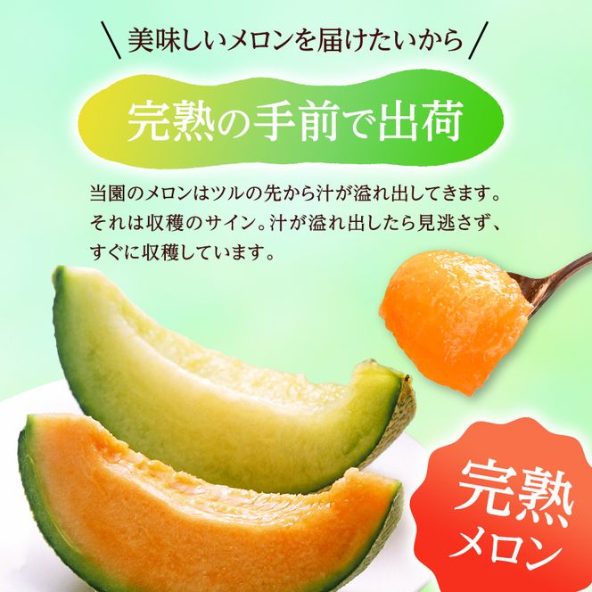 メロン 先行 予約 青森 減農薬栽培メロン 1玉 糖度16度以上保証 減農薬 青肉 赤肉 青肉メロン 赤肉メロン フルーツ 果物 旬のフルーツ 旬の果物 旬 夏 レビュー 高評価 先行予約 2026 2026年 青森県