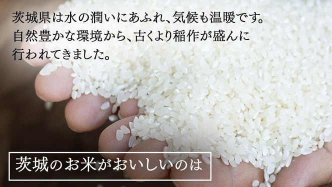 ＼ 選べる内容量 ／ 令和7年産 茨城県産 コシヒカリ / 特別栽培米コシヒカリ / ミルキークイーン（精米 2kg・5kg・10kg・26kg / 玄米 5kg・10kg・30kg） 白米 清米 こしひかり 米 コメ 単一米 茨城県産 おこめ
