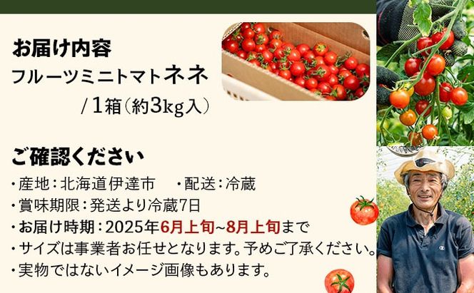 【2027年先行予約】北海道産 ミニトマト ネネ 約3kg フルーツトマト 幻の 高糖度 ジューシー プチ トマト 甘い 濃厚 彩り 鮮やか 希少 お中元 お歳暮 暑中見舞い 帰省土産 ご自宅用 産地直送 大滝農園 送料無料 北海道