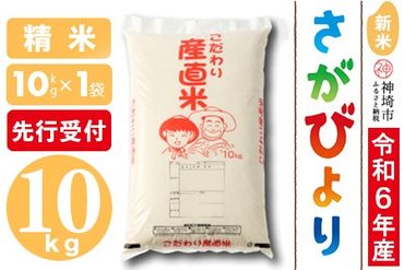 【令和6年産 新米先行受付】さがびより 精米 10kg【米 10kg お米 コメ おいしい ランキング 人気 国産 ブランド 地元農家】(H061269)