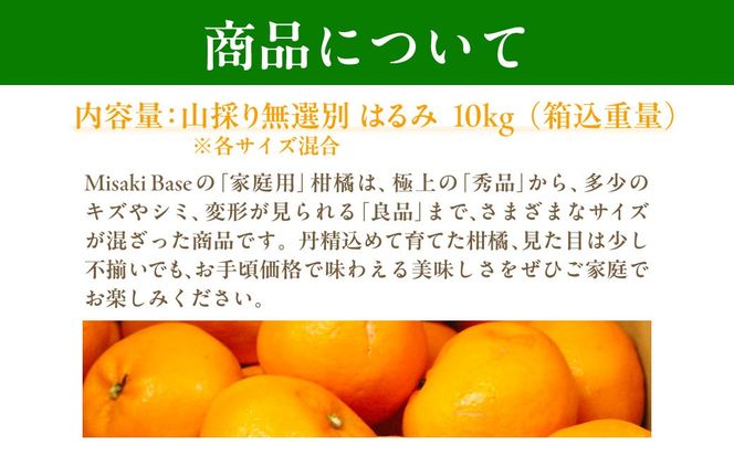【先行受付】【数量限定】【山採り無選別】はるみ 10kg ※離島への配送不可（2026年2月より順次発送） IKTAB012 