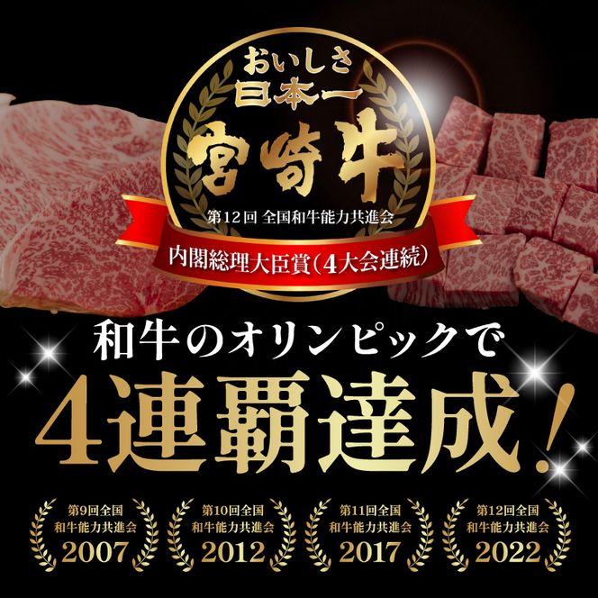 宮崎牛サーロイン モモステーキセット N0217-YB1112