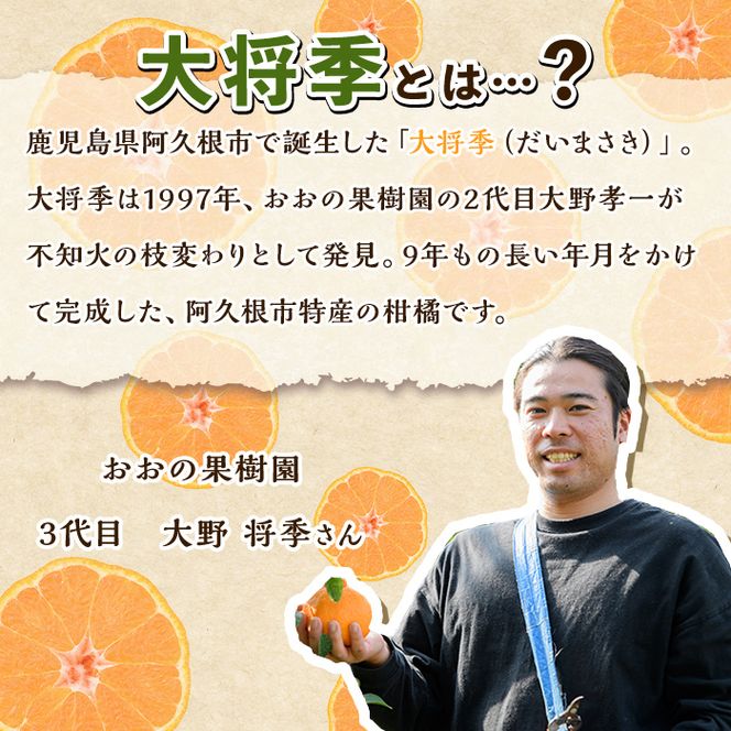 ＜先行予約受付中！2027年3月下旬以降順次発送予定＞ 数量限定！訳あり・ご家庭用！おおの果樹園の「大将季」(計5kg) 訳あり 訳アリ 果物 フルーツ 果実 柑橘 露地栽培 無加温 みかん 期間限定 家庭用 自宅用 【おおの果樹園】akn087-02
