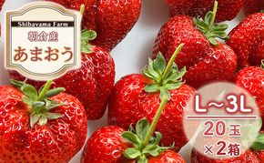 いちご 朝倉市産 あまおう L～3L 20玉×2箱 イチゴ 苺 果物 デザート ＜Shibayama Farm＞ ※配送不可：離島 