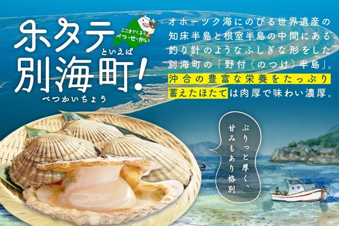 朝どり 新鮮出荷 活ホタテ 中サイズ 3kg活ほたて【UY0000011】