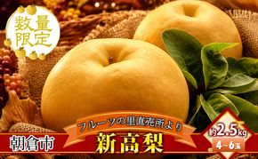 フルーツの里の直売所より 新高梨 2.5kg ナシ 果物 先行予約 