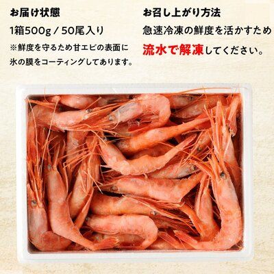 甘えび 子なし 500g 約50尾 越前甘えび えび 海老 刺身 冷凍 魚介 魚介類 海鮮 高評価