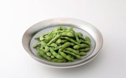 貝印 SELECT100 浅型ざる 21cm 000DF5009 セレクト100 関市 ザル キッチンツール 料理 刃物 おしゃれ 便利