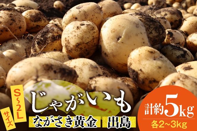AK077 じゃがいも ながさき黄金 出島 じゃがいも食べ比べセット 計5kg [ 野菜 芋 ジャガイモ じゃがいも 5キロ ほくほく 国産 常備野菜 合同会社YT 長崎県 島原市 ]