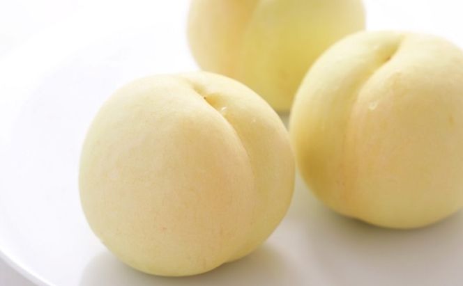 桃 2026年 先行予約 岡山 白桃 8玉 約1.8kg 等級：ロイヤル（1玉 220g以上） もも モモ 岡山県産 国産 フルーツ 果物 ギフト