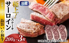 冷蔵発送/おおいた和牛サーロインステーキ600g_1792R-3