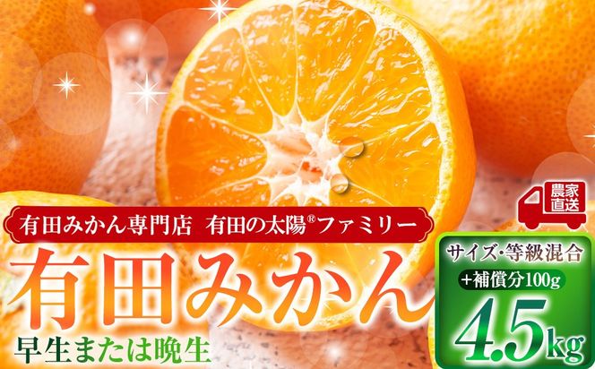 有田みかん専門店 有田の太陽®ファミリー 早生または晩生 有田みかん 4.5kg＋補償分100g 山採れ・サイズ・等級 混合 FH05