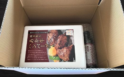 FK7-0253_あか牛100％ハンバーグセット（120ｇ×6個） 牛肉 あか牛 ハンバーグ 冷凍 九州 熊本県 熊本 嘉島