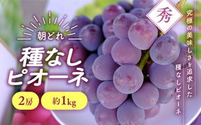 【来年（2026年/令和8年）発送＜先行予約＞】 種なし ピオーネ 2房 約1㎏ 先行予約 先行 予約 山梨県産 産地直送 フルーツ 果物 くだもの ぶどう ブドウ 葡萄 新鮮 人気 おすすめ 国産 贈答 ギフト お取り寄せ プレゼントお供え お見舞い お中元 御中元 暑中見舞い 令和8年発送分 山梨 甲斐市 AV-33