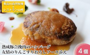ハンバーグ 熟成豚合挽肉のハンバーグ 4個 友情のりんごすりおろしソース添え セット 湯煎 温めるだけ レトルト 小分け 個包装 お試し 簡単 簡単調理 惣菜 おかず お弁当 弁当 時短 肉 お肉 熟成肉 豚肉 ギフト 贈答 冷凍 長谷川自然牧場産