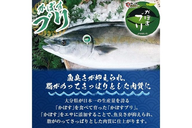 かぼすブリ フィーレ (約1kg) 期間限定 鰤 ブリ フィーレ 半身 魚 魚介類 養殖 大分県産 大分県 佐伯市【EW032】【Up】