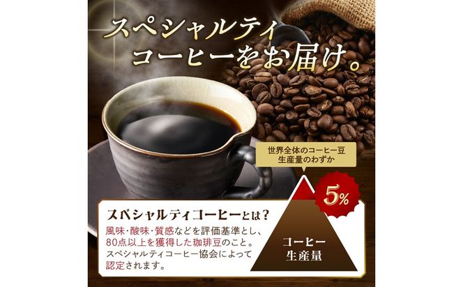 【栽培期間中農薬不使用】自家焙煎コーヒー豆 コロンビア シエラネバダ 500g（250g×2） 約50杯分 小分け　豆・粉 選べる　HA00026