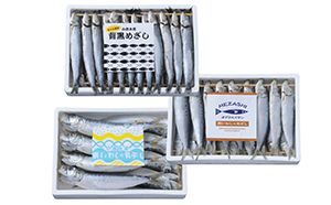 いわし 三昧 海鮮 魚介 魚介類 魚 干物脂 イワシ さぬき塩 冷風乾燥 背黒めざし めざし 真いわし 丸干し 