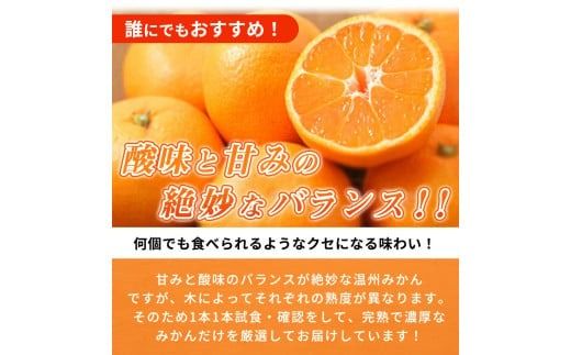 【有田の小粒みかん5kg　(S～3Sサイズ混合) ※2026年11月下旬～2027年1月下旬頃に順次発送予定 / みかん ミカン 蜜柑 温州みかん 柑橘 フルーツ 果物 くだもの 和歌山【uot845】