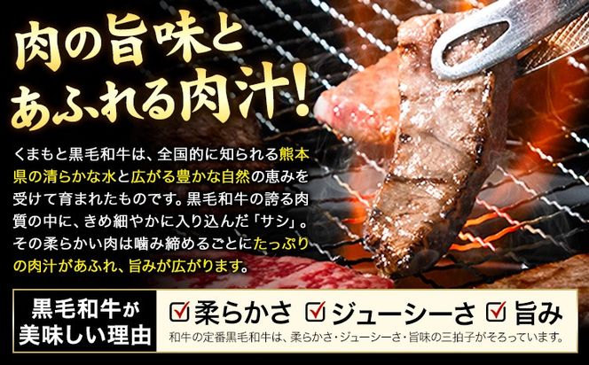 牛肉 A4～A5等級 黒毛和牛 切り落とし くまもと黒毛和牛 上 ロース 焼肉切り落とし 300g 600g 900g《30日以内に出荷予定(土日祝除く)》熊本県 長洲町 上ロース 焼肉用 焼肉 肉 お肉 和牛 A5 A4 300g 小分け リブロース サーロイン---ng_fzyoursyk_30d_r7_10000_300g---