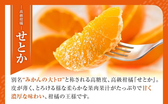 せとか ＜別名-みかんの大トロ＞ 和歌山県有田川町産 オレンジ 訳あり 8kg  	CE045