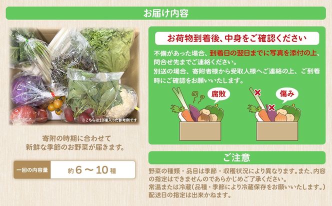 K1665 季節の野菜 「道の駅さかいオリジナル」駅⻑おすすめ野菜セット