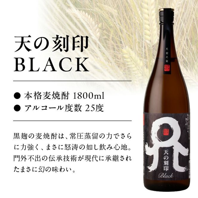 天の刻印、天の刻印BLACK飲み比べ　６本セット N076-YE126