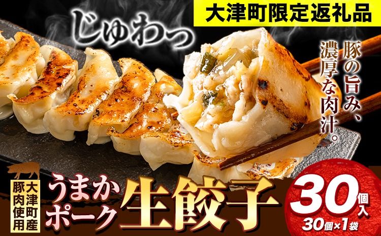餃子 うまかポーク生餃子 30個 タレ付き 大津町限定返礼品 冷凍餃子 ギョウザ[30日以内に出荷予定(土日祝除く)]大津町産豚肉使用 九州産キャベツ使用(大津町産含む)皮モチモチ 肉汁溢れる ぎょうざ (30個×1袋)---oz_fumkgz_30d_25_5000_30p---