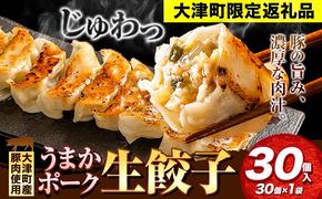餃子 うまかポーク生餃子 30個 タレ付き 大津町限定返礼品 冷凍餃子 ギョウザ《30日以内に出荷予定(土日祝除く)》大津町産豚肉使用 九州産キャベツ使用（大津町産含む）皮モチモチ 肉汁溢れる ぎょうざ （30個×1袋）---oz_fumkgz_30d_25_5000_30p---