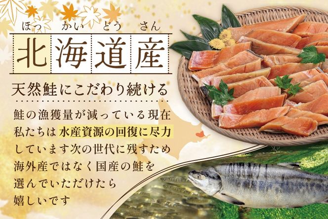 【訳あり】秋鮭ドンっ！無塩 秋鮭 切り身 1.5kg 【KN000PB06】