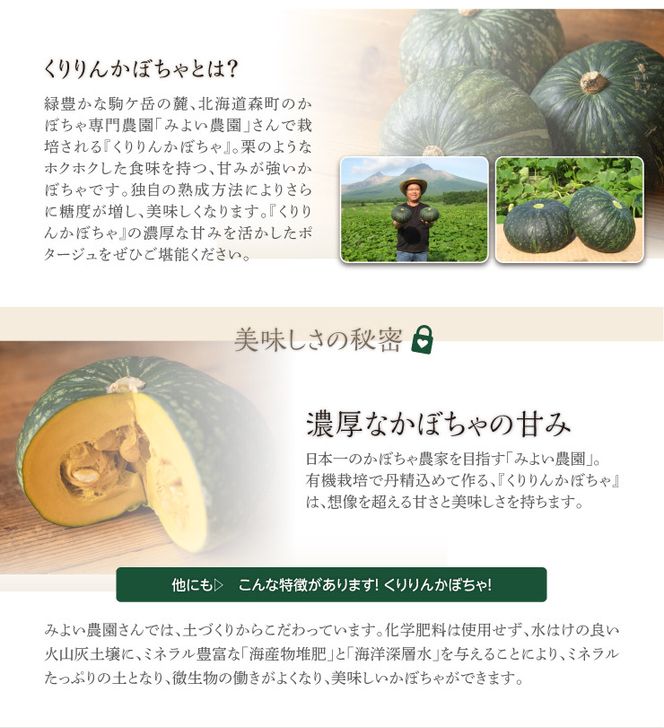 かぼちゃポタージュ 10食セット《北海道 くりりんかぼちゃ 使用》｜スープ ポタージュ レトルト 野菜スープ 無添加 無着色 砂糖不使用 常温保存 ヘルシー 低カロリー スープ 国産 野菜 ローリングストック レトルト食品 お取り寄せ 非常食 保存食 [2516]