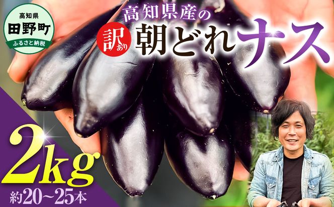 訳あり高知県産の朝どれナス 2kg 茄子 なす 新鮮 朝採れ 野菜 夏野菜 柔らかい 甘い おいしい 生鮮食品 食品 食べ物 浅漬け 煮浸し 国産 お取り寄せ