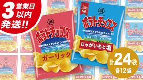 【最短3営業日！スピード発送】 湖池屋 ポテトチップス 2種類アソート （じゃがいもと塩・ガーリック）（各12袋・計24袋） ポテチ お菓子 おかし 大量 スナック おつまみ ジャガイモ じゃがいも まとめ買い スナック菓子 数量限定