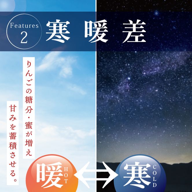 【数量限定】【三村観光りんご園】【10月より順次発送予定】樹上完熟！奥久慈りんご＆贅沢ジュース（品種おまかせ約2kg＆720ml×1本）｜茨城県 大子町 林檎 旬 果物 フルーツ 果実 果汁 飲料 セット 詰合せ ギフト 贈答(BX008)
