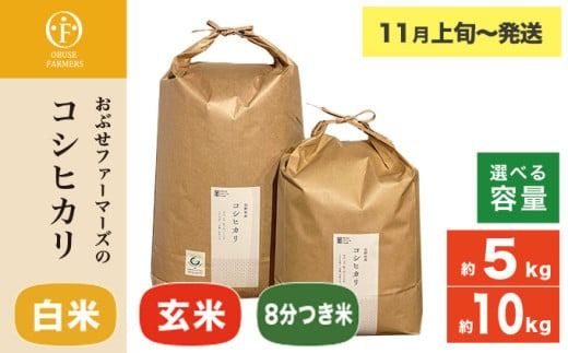 コシヒカリ 白米 玄米 8分つき米 約5kg 約10kg 選べる 精米方法 内容量 ［ おぶせファーマーズ ］ お米 コメ おこめ ご飯 精米 長野県産【2025年11月上旬～発送】
