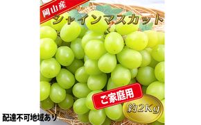 ぶどう 2026年 先行予約 ご家庭用 シャイン マスカット 約2kg 糖度抜群！ 【8月中旬～順次発送分】 ブドウ 葡萄 岡山県産 国産 フルーツ 果物 果物類 