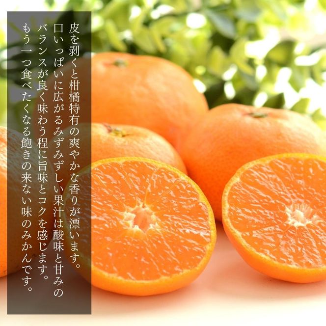 MK1004_【2026年先行予約】みかん Ｍサイズ 秀品 箱込 10kg ( 内容量 9.2kg ) 有田みかん みかん 濃厚 甘み 濃縮 温暖 好条件 和歌山県産 産地直送 贈答用 贈り物 ギフト のし対応 フルーツ デザート 和歌山県 湯浅 お取り寄せ お取り寄せフルーツ 送料無料 みかんの会